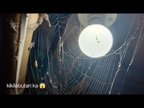 Kilabot sa Lumang Bahay! Panoorin mo ito! ⚫ A COMPILATION ⚫