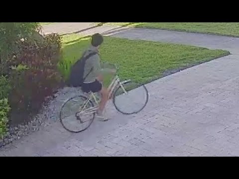 Search intensifies for missing teen Allister Nasr after bike found in St. Pete