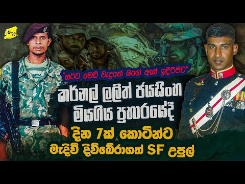 ලලිත් ජයසිංහ සර් මගේ ඇස් ඉදිරිපිට මියගියා | මම දින 7ක් කොටින්ට මැදි වුණා | SF උපුල් @wanesatv