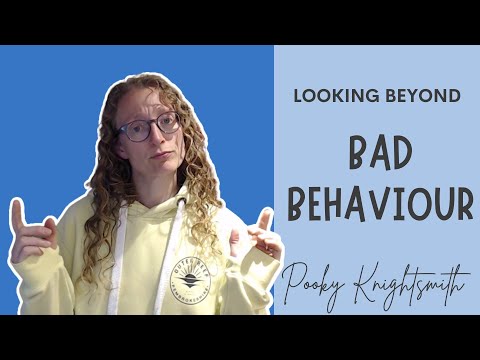 Looking Beyond Bad Behaviour