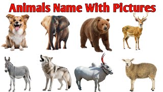 Animals Name | जानवरो के नाम | जानवरों के नाम हिंदी और इंग्लिश में | animals name with pitchers |