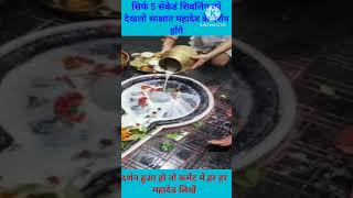 सिर्फ 5 सेकंद शिवलिंग को देखलो साक्षात महादेव के दर्शन#mahadev #bholenath #shivji#shivsankar