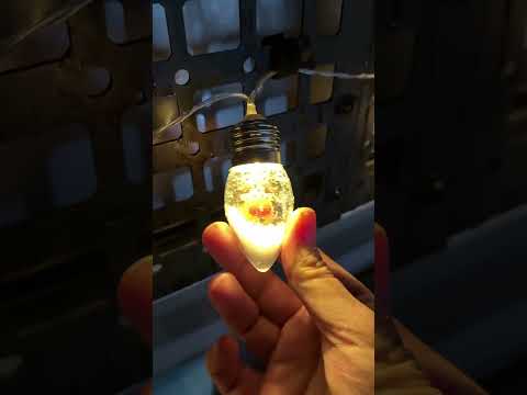 Christmas Snow Globe String Lights