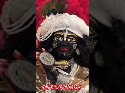 Jay dwarkadhish  new video