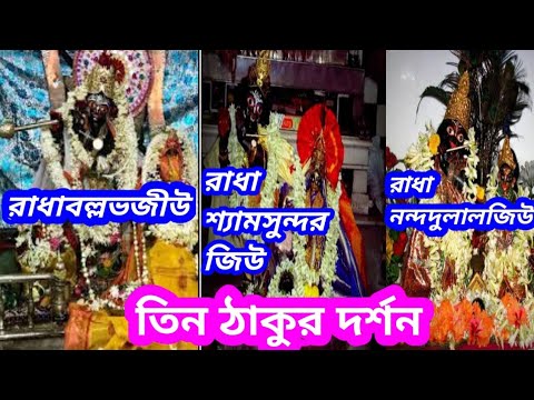 Sunday's vlog:- Nandadulal Temple visit of saibon.##..ঘুরে আসলাম সাইবনের নন্দদুলাল মন্দির