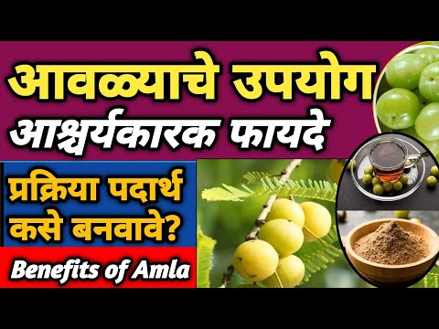 आवळ्याचे उपयोग व आश्चर्यकारक फायदे | Awala Khanyache Fayde | Avalyache Padarth | Amla Benefits