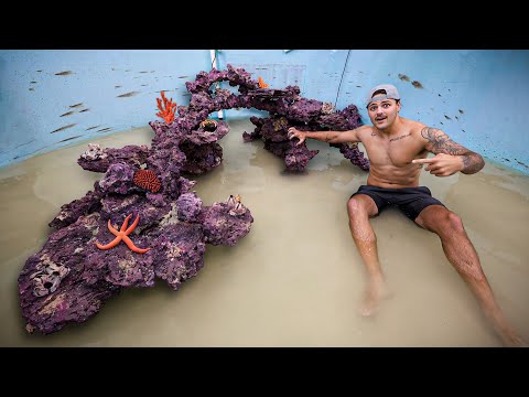 Building a REEF inside My SHARK POND!!