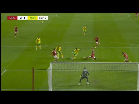 Borja Sainz Goal | Bristol City vs Norwich City 2-1 Extented Highlights | Championship 24/25