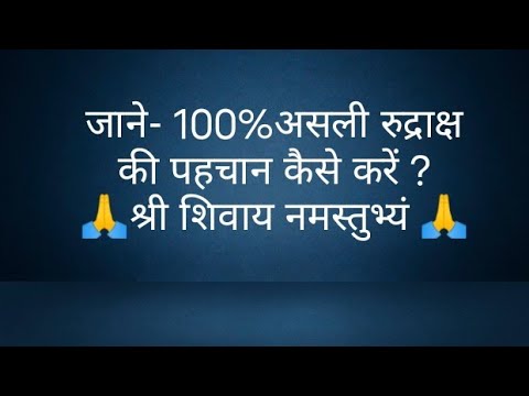 जाने- 100%असली रुद्राक्ष की पहचान कैसे करें ? @panditpradeepmishrajikeupa9406