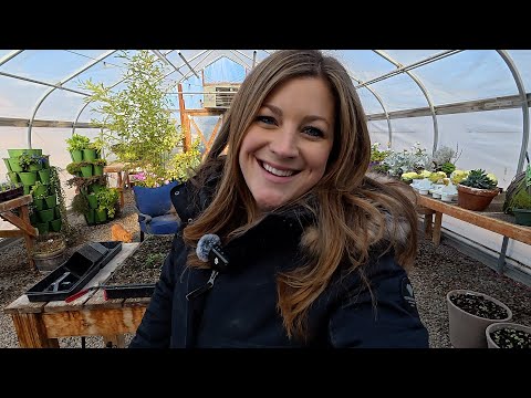 Sharing My Garden Fail, Planting Onion & Radish Seeds & Repotting a String of Watermelons! 😃🌱🍉