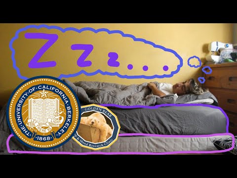 UC Berkeley's 4 Rules for Sleep