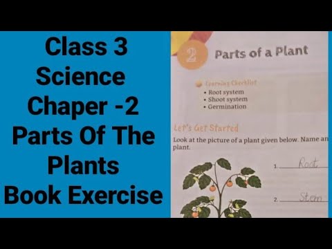 Class 3 | Science  | Chapter-2 Parts Of The Plants | Book Exercise  |