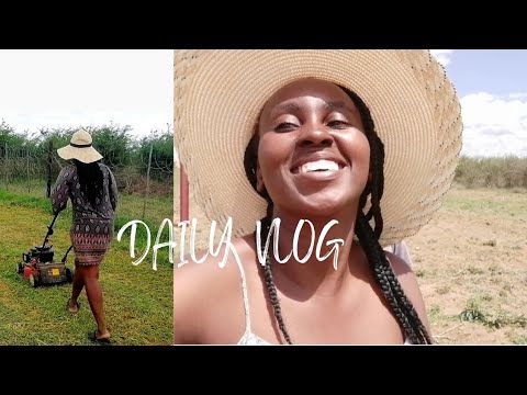 Daily Vlog | Milking a cow | Mowing Grass | Farm Tour #southafricanyoutuber