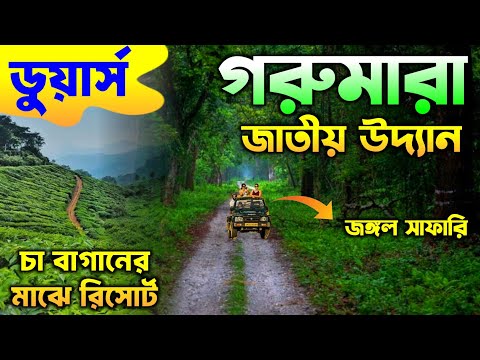 Gorumara National Park | Gorumara Jungle Safari | Gorumara Tour Plan | Gorumara Forest | Lataguri