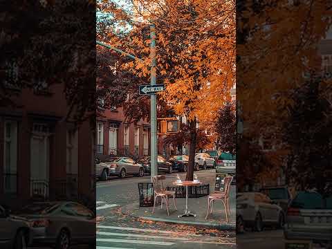 Autumn Coffee Shop Ambience - Smooth Jazz Music For Relax