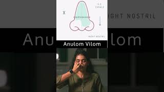 Pranayama Series: Part 1 - ANULOM VILOM Explained. 🧘🏻