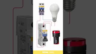 Connecting 2P and 1P Miniature Circuit Breakers (MCB) with Load.