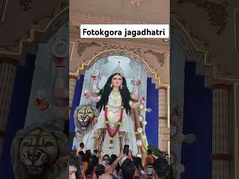 Fotokgora jagadhatri puja//chandannagar2024//