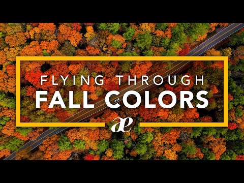 Autumn Aerials: 2-Hour 4K Drone Footage of Fall Nature & Scenery with Relaxing Music