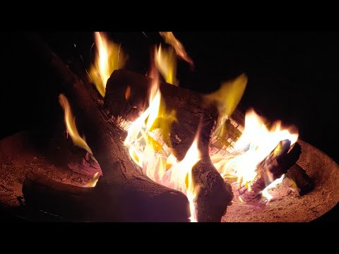 Bonfire Hangout, Livestream chat.