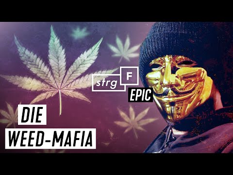 Weed-Mafia: Wie blutig ist unser Gras? | STRG_F EPIC