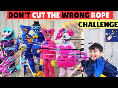 Let's Play Don't Cut The Wrong Rope Challenge With Our Friends Huggy, Daddy Long Legs, Kissy & More