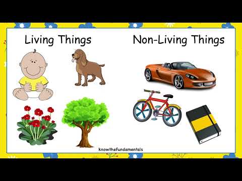 Living things and Nonliving things for kids | Living  and nonliving things | Olympiad class 1 |  EVS