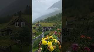 Jeena | #peace #pleasant #nature #mountainmagic #NaturePerfection #NatureEscapes #viral #viralvideos