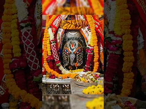 Ujjain MAHAKAL Aarti Darshan  #mahakal #shorts