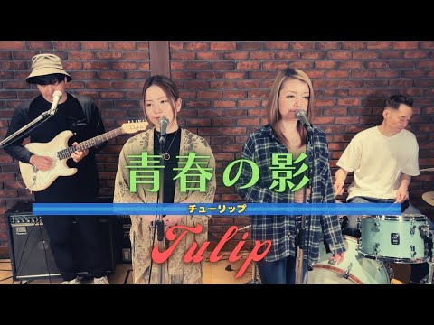 【歌詞付】青春の影 / チューリップ【Cover】Seishun-no Kage by TULIP