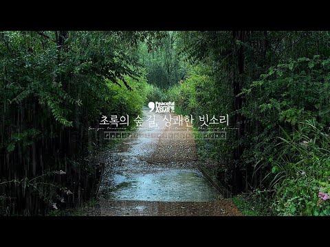 Green rain sound ASMR that creates a refreshing mood on a forest path