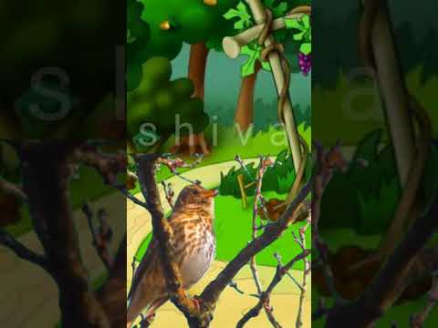 cute birds in forest #shorts #short #shortvideo #cartoon shorts