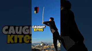 Caught Kites || Kites Catching || Live Kites Catching || Patang #kitecatching #ramadanonshorts2024