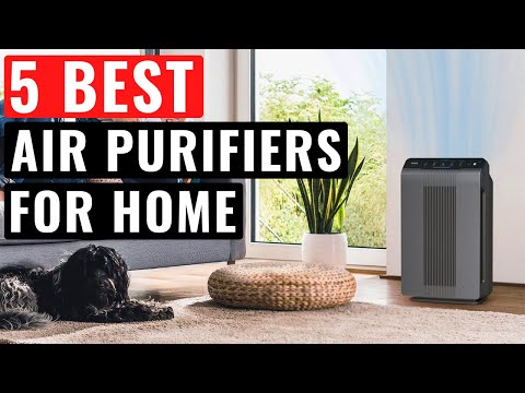 Top 5 Best Air Purifiers For Your Home In 2022