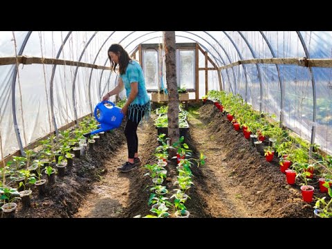 Let's Get this Garden Planted | Growing Food in Alaska