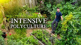 This Small-Scale Permaculture Garden is PACKED With Food