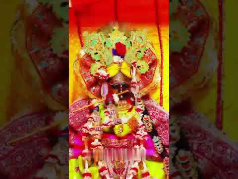 Shri vrindavan dham shri krishna#shrivrindavan#dham#radhe#radhe#viral#youtubeshorts#videos