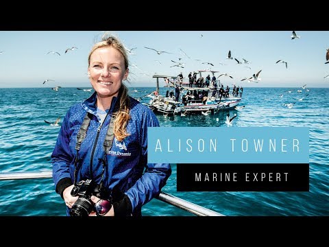 Meet South Africa with Alison Towner, the Marine Expert