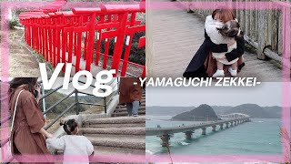 【Vlog】休日に家族で海外でも人気の絶景を見に行きました...♡【畠中清羅】