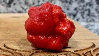 The Infamous Dragon's Breath Pepper! I give my take on this pod. AND, I am being kind! Great pod Tom