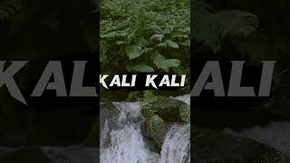 Kali nagin ke jaise Zulfe teri kali kali   lyrics song black screen status video #jsiddique #shorts