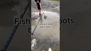 Fishbrain has the weirdest spots #fishing #fish #fishingvideo