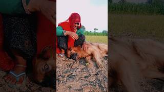 Dog Loves 🐶 😍#lokeshpacheriya #viralvideo #trending #shorts #doglover #mother #motivation