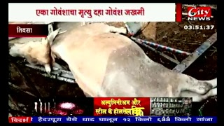 CityNews Amravati Live Stream