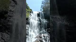 "Chasing the beauty of Jhari Falls 🌊✨ #NatureVibes #JhariFalls #WaterfallMagic#travel"