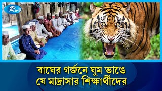 বাঘ আতঙ্কে ভাঙা-জরাজীর্ণ মাদ্রাসায় রাত কাটান যে শিশুরা | Sundarban | Tiger | Madrasa | Fear | Rtv