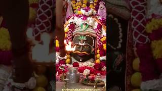 जय श्री महाकाल प्रभु जी संध्या काल दर्शन 1 मार्च 2024 #श्री_महाकालेश्वर_ज्योतिर्लिंग_उज्जैन #shorts