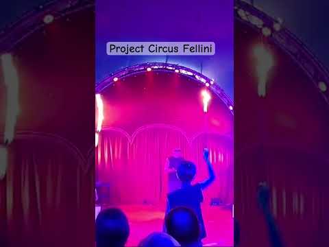 Project Circus Fellini #circus #gradeschool #circusact