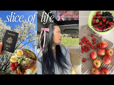 slice of life 🍰 taking passport photos, valentine's day dinner, marshall's spring finds