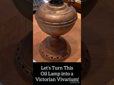 Unique or Just Weird—Victorian Style Vivarium  #shorts